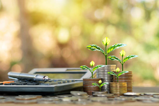 Módulo FUNDAMENTOS FINANCIEROS PARA LA VIABILIDAD DE LA EMPRESA